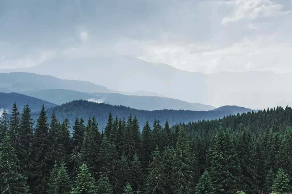 scenic-mountains-landscape-after-rain-carpathians-ukraine