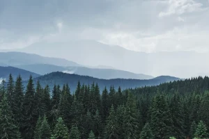 scenic-mountains-landscape-after-rain-carpathians-ukraine